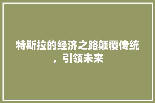 特斯拉的经济之路颠覆传统,引领未来 特斯拉的经济之路颠覆传统,引领未来