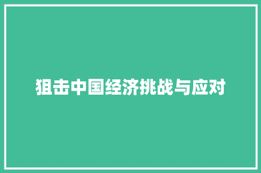 狙击中国经济挑战与应对 狙击中国经济挑战与应对