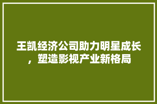 王凯经济公司助力明星成长,塑造影视产业新格局 王凯经济公司助力明星成长,塑造影视产业新格局