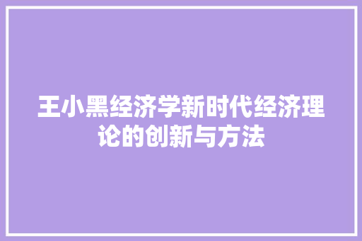 王小黑经济学新时代经济理论的创新与方法 王小黑经济学新时代经济理论的创新与方法