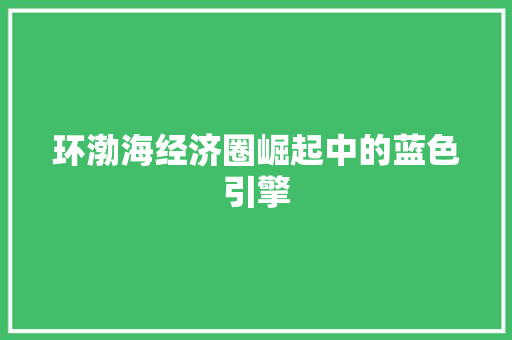 环渤海经济圈崛起中的蓝色引擎 环渤海经济圈崛起中的蓝色引擎