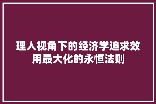 理人视角下的经济学追求效用最大化的永恒法则