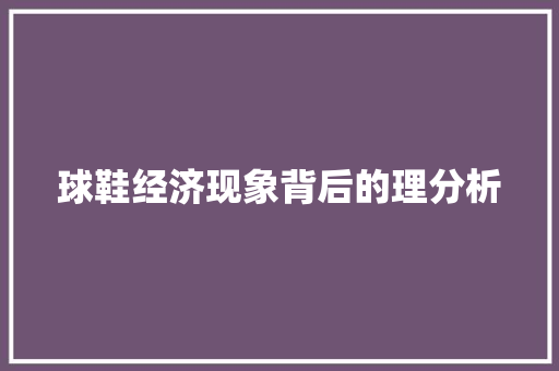 球鞋经济现象背后的理分析 球鞋经济现象背后的理分析
