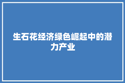 生石花经济绿色崛起中的潜力产业 生石花经济绿色崛起中的潜力产业