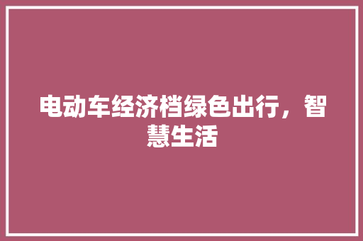电动车经济档绿色出行,智慧生活 电动车经济档绿色出行,智慧生活