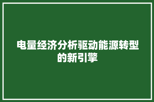 电量经济分析驱动能源转型的新引擎 电量经济分析驱动能源转型的新引擎