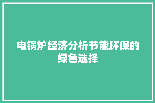 电锅炉经济分析节能环保的绿色选择 电锅炉经济分析节能环保的绿色选择