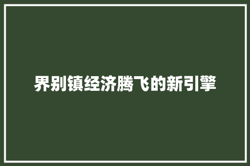 界别镇经济腾飞的新引擎 界别镇经济腾飞的新引擎