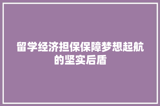 留学经济担保保障梦想起航的坚实后盾