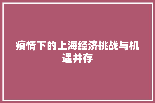 疫情下的上海经济挑战与机遇并存 疫情下的上海经济挑战与机遇并存