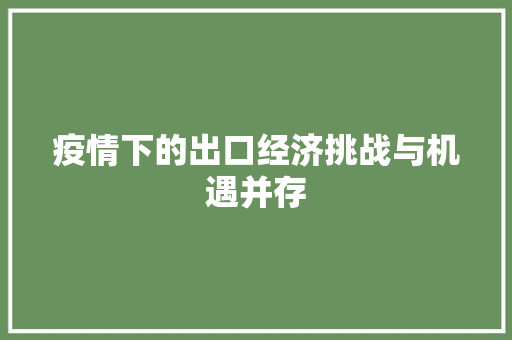疫情下的出口经济挑战与机遇并存 疫情下的出口经济挑战与机遇并存