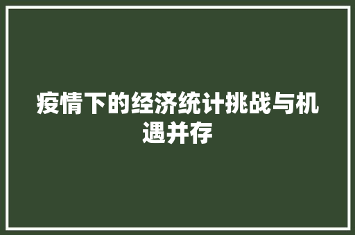 疫情下的经济统计挑战与机遇并存 疫情下的经济统计挑战与机遇并存