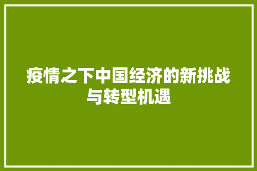 疫情之下中国经济的新挑战与转型机遇 疫情之下中国经济的新挑战与转型机遇