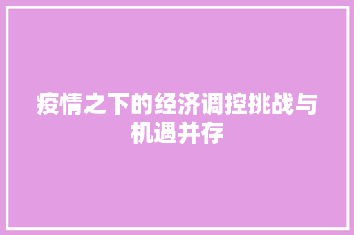 疫情之下的经济调控挑战与机遇并存 疫情之下的经济调控挑战与机遇并存
