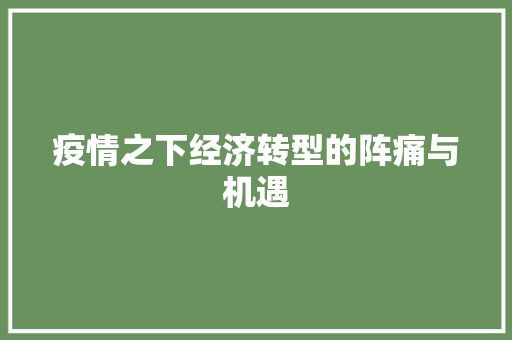 疫情之下经济转型的阵痛与机遇 疫情之下经济转型的阵痛与机遇