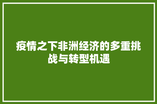 疫情之下非洲经济的多重挑战与转型机遇