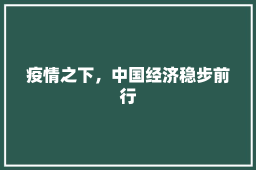 疫情之下,中国经济稳步前行 疫情之下,中国经济稳步前行