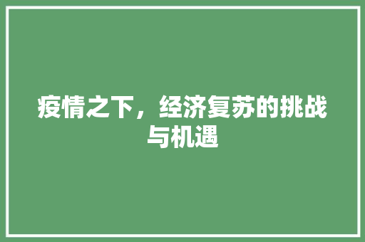 疫情之下,经济复苏的挑战与机遇 疫情之下,经济复苏的挑战与机遇