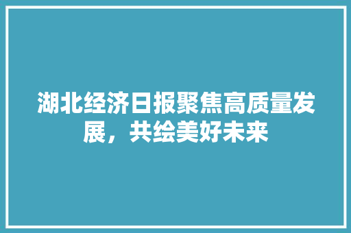 湖北经济日报聚焦高质量发展,共绘美好未来 湖北经济日报聚焦高质量发展,共绘美好未来