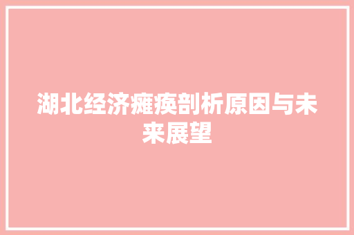 湖北经济瘫痪剖析原因与未来展望 湖北经济瘫痪剖析原因与未来展望