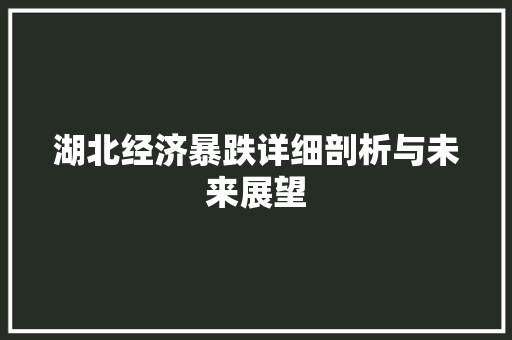 湖北经济暴跌详细剖析与未来展望 湖北经济暴跌详细剖析与未来展望