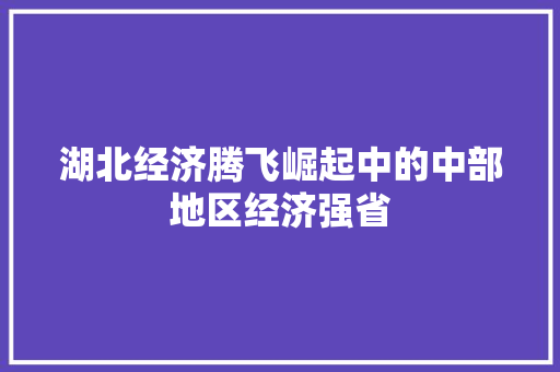 湖北经济腾飞崛起中的中部地区经济强省 湖北经济腾飞崛起中的中部地区经济强省