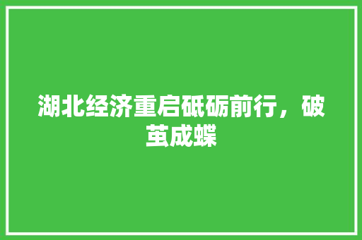 湖北经济重启砥砺前行,破茧成蝶 湖北经济重启砥砺前行,破茧成蝶