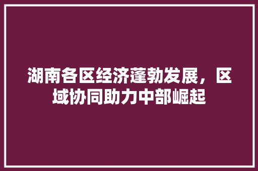 湖南各区经济蓬勃发展,区域协同助力中部崛起 湖南各区经济蓬勃发展,区域协同助力中部崛起