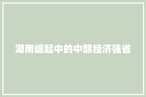 湖南崛起中的中部经济强省 湖南崛起中的中部经济强省