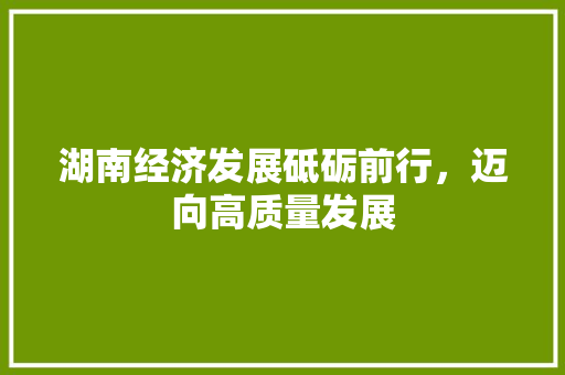 湖南经济发展砥砺前行,迈向高质量发展 湖南经济发展砥砺前行,迈向高质量发展