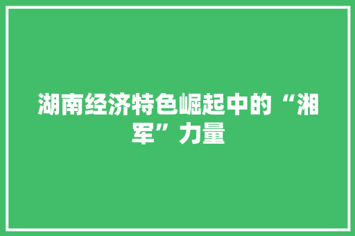 湖南经济特色崛起中的“湘军”力量 湖南经济特色崛起中的“湘军”力量