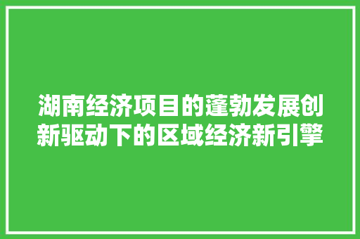 湖南经济项目的蓬勃发展创新驱动下的区域经济新引擎 湖南经济项目的蓬勃发展创新驱动下的区域经济新引擎