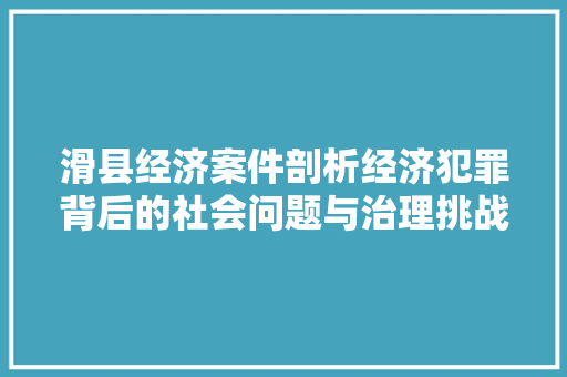 滑县经济案件剖析经济犯罪背后的社会问题与治理挑战