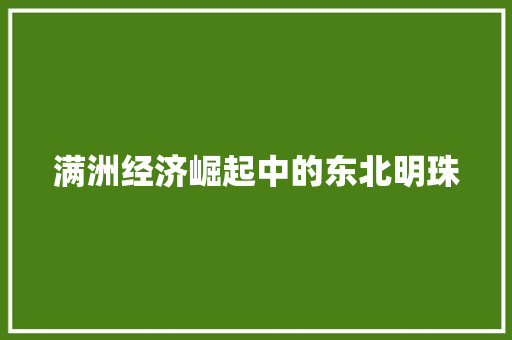 满洲经济崛起中的东北明珠 满洲经济崛起中的东北明珠