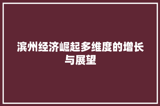 滨州经济崛起多维度的增长与展望 滨州经济崛起多维度的增长与展望