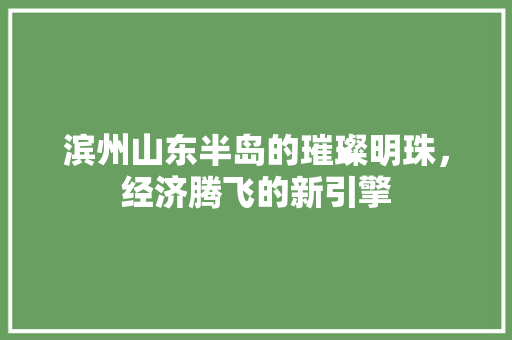 滨州山东半岛的璀璨明珠,经济腾飞的新引擎 滨州山东半岛的璀璨明珠,经济腾飞的新引擎