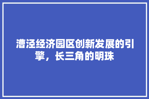漕泾经济园区创新发展的引擎,长三角的明珠 漕泾经济园区创新发展的引擎,长三角的明珠