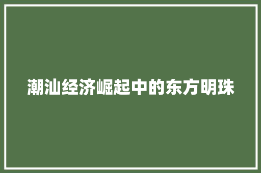 潮汕经济崛起中的东方明珠 潮汕经济崛起中的东方明珠