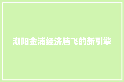 潮阳金浦经济腾飞的新引擎 潮阳金浦经济腾飞的新引擎