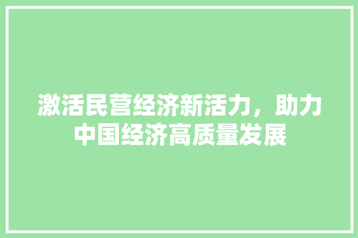 激活民营经济新活力,助力中国经济高质量发展 激活民营经济新活力,助力中国经济高质量发展