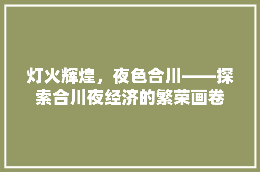 灯火辉煌,夜色合川——探索合川夜经济的繁荣画卷 灯火辉煌,夜色合川——探索合川夜经济的繁荣画卷