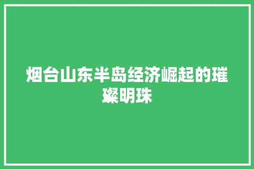 烟台山东半岛经济崛起的璀璨明珠