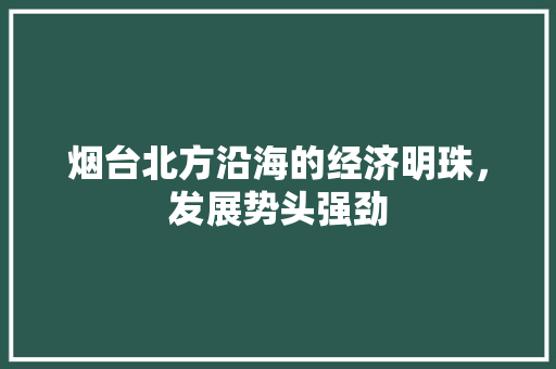 烟台北方沿海的经济明珠,发展势头强劲 烟台北方沿海的经济明珠,发展势头强劲