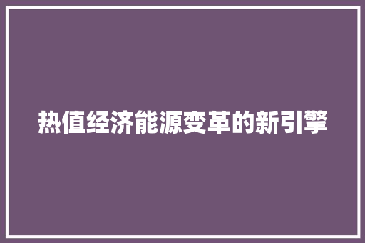 热值经济能源变革的新引擎 热值经济能源变革的新引擎