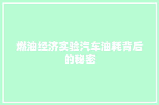 燃油经济实验汽车油耗背后的秘密 燃油经济实验汽车油耗背后的秘密