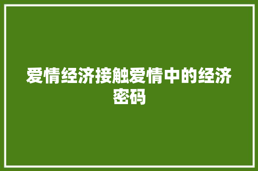 爱情经济接触爱情中的经济密码
