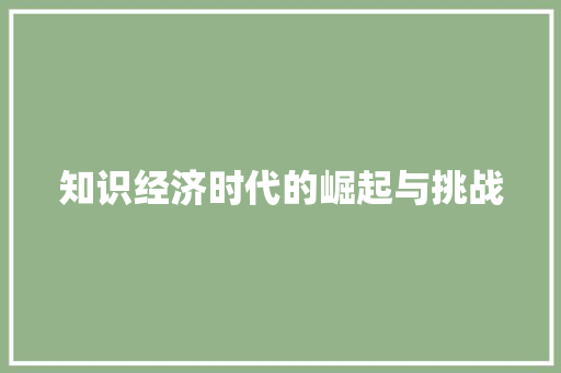 知识经济时代的崛起与挑战 知识经济时代的崛起与挑战