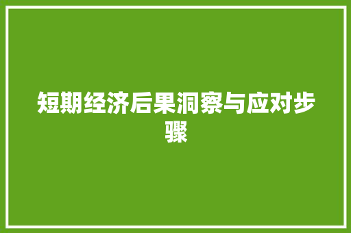 短期经济后果洞察与应对步骤 短期经济后果洞察与应对步骤