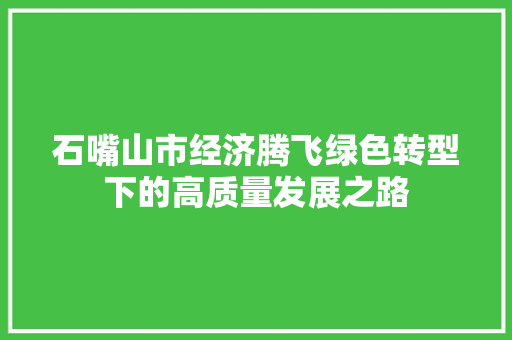 石嘴山市经济腾飞绿色转型下的高质量发展之路 石嘴山市经济腾飞绿色转型下的高质量发展之路