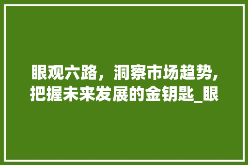 眼观六路，洞察市场趋势,把握未来发展的金钥匙_眼观六路市场趋势